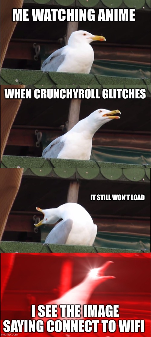 Inhaling Seagull Meme | ME WATCHING ANIME; WHEN CRUNCHYROLL GLITCHES; IT STILL WON’T LOAD; I SEE THE IMAGE SAYING CONNECT TO WIFI | image tagged in memes,inhaling seagull | made w/ Imgflip meme maker