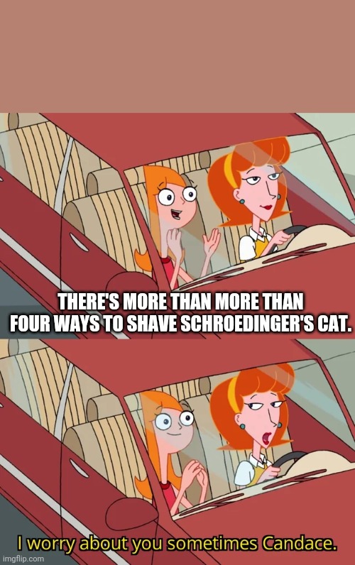 I worry about you sometimes Candace | THERE'S MORE THAN MORE THAN FOUR WAYS TO SHAVE SCHROEDINGER'S CAT. | image tagged in i worry about you sometimes candace,quantum physics,smart,funny,funny memes,funny meme | made w/ Imgflip meme maker
