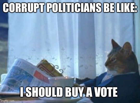 I Should Buy A Boat Cat | CORRUPT POLITICIANS BE LIKE:; I SHOULD BUY A VOTE | image tagged in memes,i should buy a boat cat | made w/ Imgflip meme maker