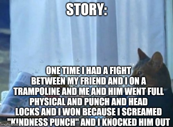 Kinda sad tbh | STORY:; ONE TIME I HAD A FIGHT BETWEEN MY FRIEND AND I ON A TRAMPOLINE AND ME AND HIM WENT FULL PHYSICAL AND PUNCH AND HEAD LOCKS AND I WON BECAUSE I SCREAMED "KINDNESS PUNCH" AND I KNOCKED HIM OUT | image tagged in memes,i should buy a boat cat,thanks dove for the boost | made w/ Imgflip meme maker