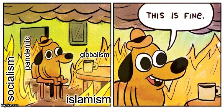 HAPPY 2021 | pandemic; globalism; socialism; islamism | image tagged in memes,this is fine,politics | made w/ Imgflip meme maker