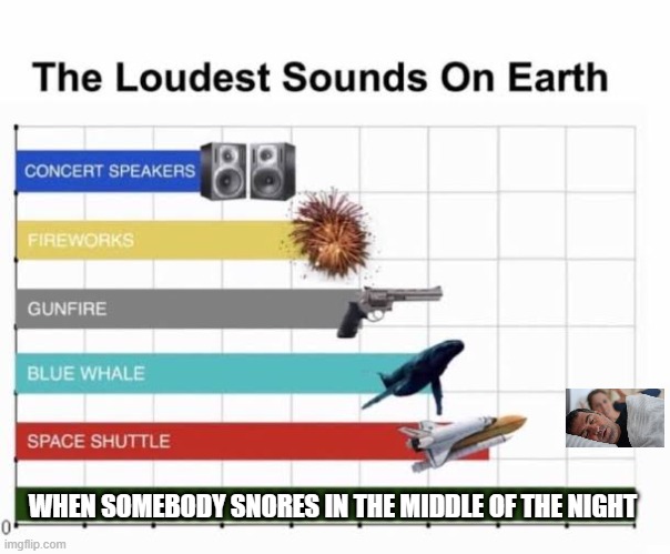 The Loudest Sounds on Earth | WHEN SOMEBODY SNORES IN THE MIDDLE OF THE NIGHT | image tagged in the loudest sounds on earth,memes,funny,so true memes | made w/ Imgflip meme maker