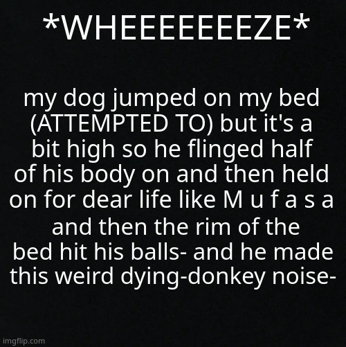 HHAHAHAHAAHA- HE'S ON THE FLOOR *WHEEEEZE* (also he's a smol doge) | *WHEEEEEEEZE*; my dog jumped on my bed (ATTEMPTED TO) but it's a bit high so he flinged half of his body on and then held on for dear life like M u f a s a; and then the rim of the bed hit his balls- and he made this weird dying-donkey noise- | image tagged in black | made w/ Imgflip meme maker