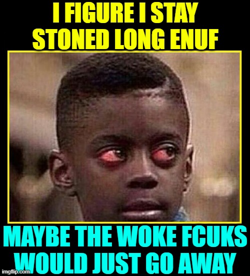 You Can't Bury Your Head in the Sand. You Gotta Fight Back | I FIGURE I STAY STONED LONG ENUF; MAYBE THE WOKE FCUKS
WOULD JUST GO AWAY | image tagged in vince vance,stoned,black kid,woke,memes,progressives | made w/ Imgflip meme maker