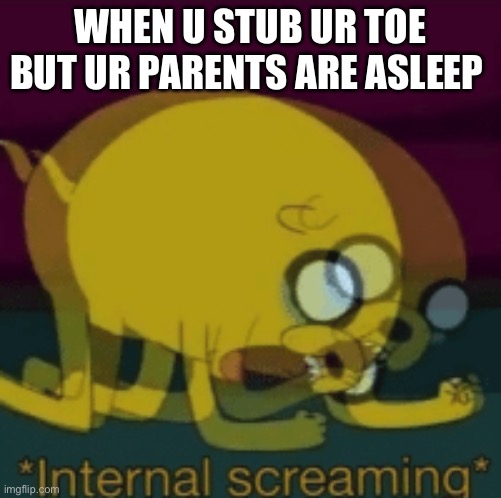 Stubs toe | WHEN U STUB UR TOE BUT UR PARENTS ARE ASLEEP | image tagged in jake the dog internal screaming | made w/ Imgflip meme maker