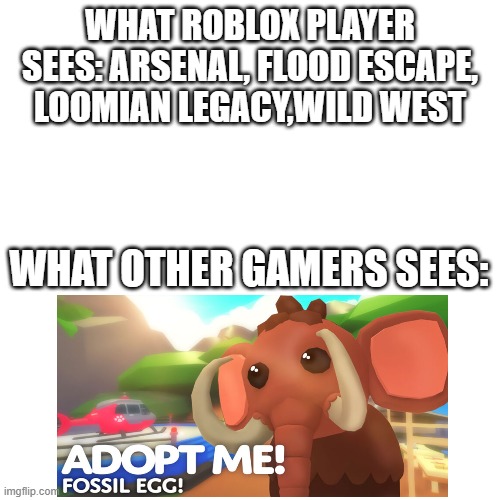 Blank Transparent Square Meme | WHAT ROBLOX PLAYER SEES: ARSENAL, FLOOD ESCAPE, LOOMIAN LEGACY,WILD WEST; WHAT OTHER GAMERS SEES: | image tagged in memes,blank transparent square,roblox | made w/ Imgflip meme maker