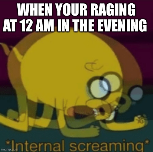Me at 12 am in the evening | WHEN YOUR RAGING AT 12 AM IN THE EVENING | image tagged in jake the dog internal screaming,raging | made w/ Imgflip meme maker
