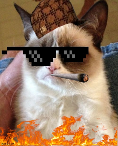 Grumpy Cat Meme | image tagged in memes,grumpy cat | made w/ Imgflip meme maker