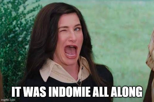 IT WAS INDOMIE ALL ALONG | made w/ Imgflip meme maker