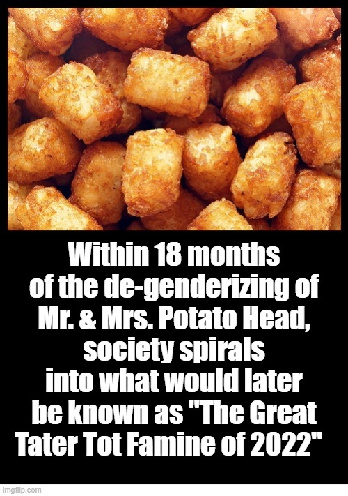 Tater Tot Famine | Within 18 months of the de-genderizing of
Mr. & Mrs. Potato Head,
society spirals into what would later be known as "The Great Tater Tot Famine of 2022" | image tagged in mr potato head,tater tots | made w/ Imgflip meme maker