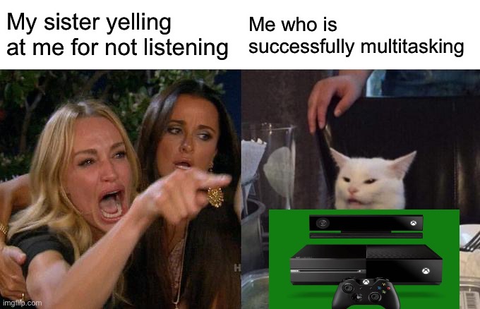 Woman Yelling At Cat | My sister yelling at me for not listening; Me who is successfully multitasking | image tagged in memes,woman yelling at cat | made w/ Imgflip meme maker
