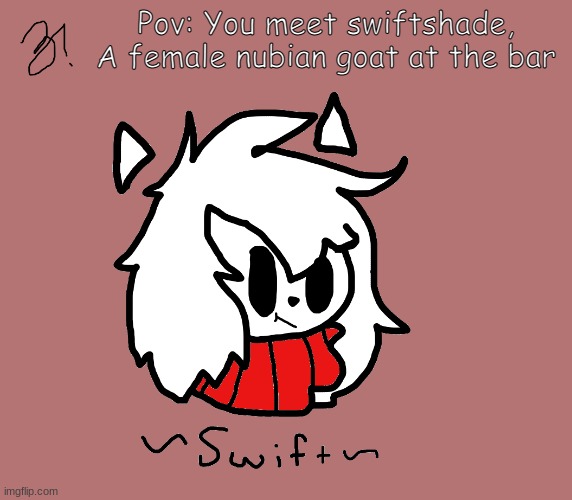 Skrrrrrrrrrrrrrrr | Pov: You meet swiftshade, A female nubian goat at the bar | image tagged in swift | made w/ Imgflip meme maker