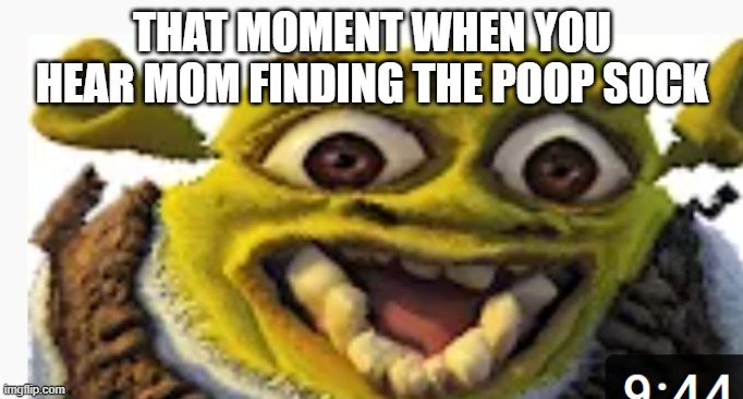 shrek scream | THAT MOMENT WHEN YOU HEAR MOM FINDING THE POOP SOCK | image tagged in whaaat | made w/ Imgflip meme maker