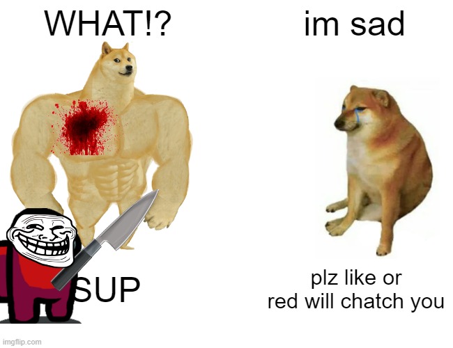 bruh | WHAT!? im sad; SUP; plz like or red will chatch you | image tagged in memes,buff doge vs cheems | made w/ Imgflip meme maker