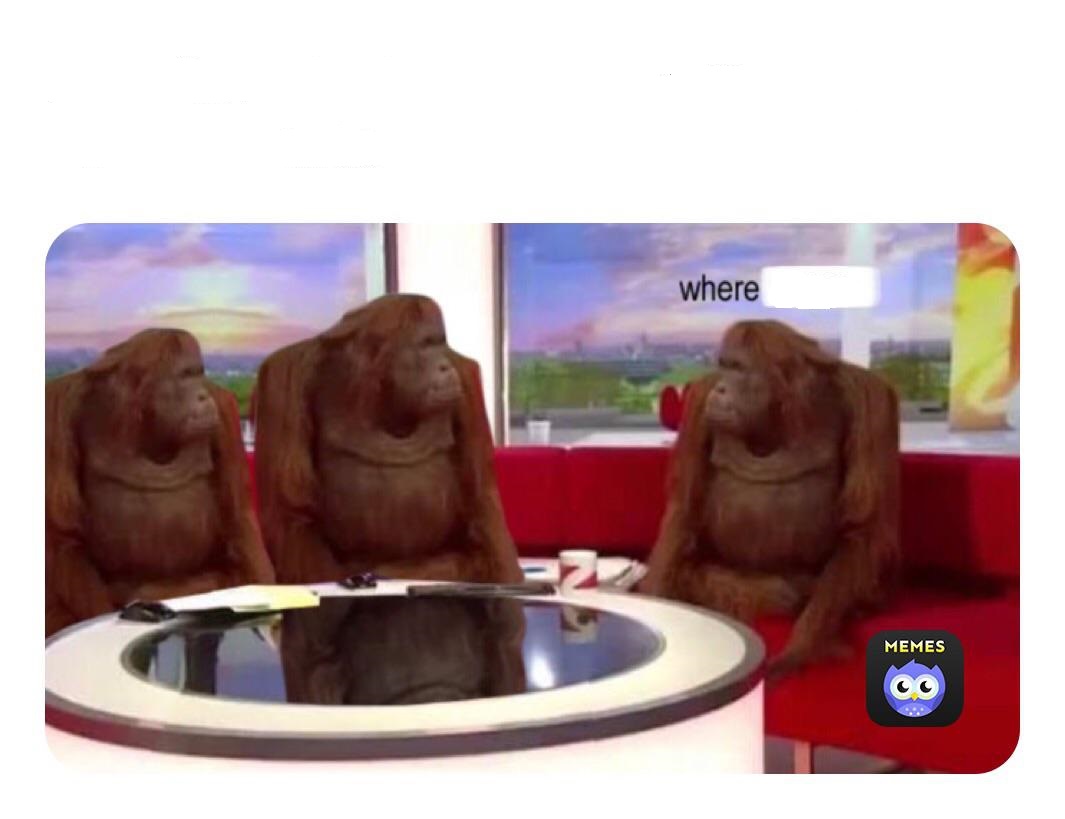 orang-utan Blank Meme Template