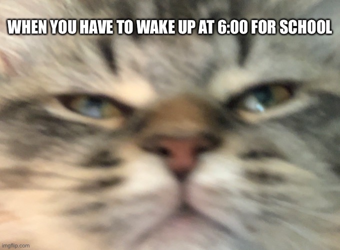 WHEN YOU HAVE TO WAKE UP AT 6:00 FOR SCHOOL | made w/ Imgflip meme maker