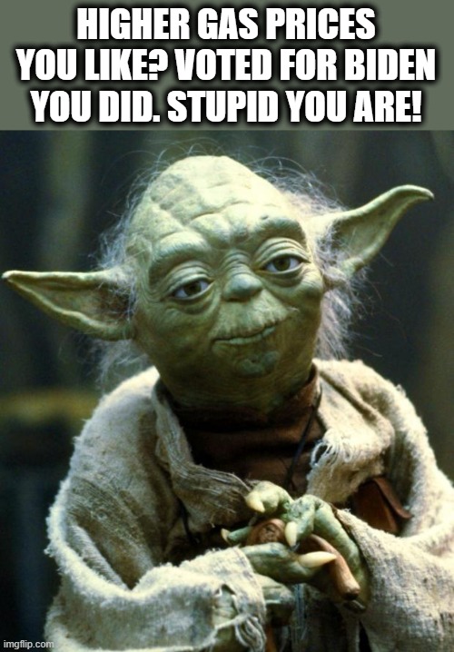 Yoda the wise | HIGHER GAS PRICES YOU LIKE? VOTED FOR BIDEN YOU DID. STUPID YOU ARE! | image tagged in memes,star wars yoda,gas,joe biden | made w/ Imgflip meme maker