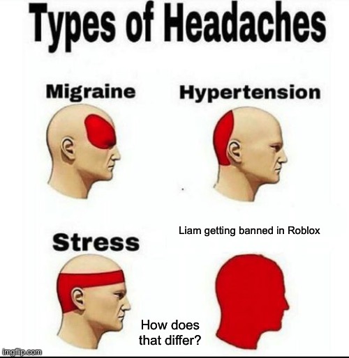 Types of headaches | Liam getting banned in Roblox; How does that differ? | image tagged in types of headaches meme | made w/ Imgflip meme maker