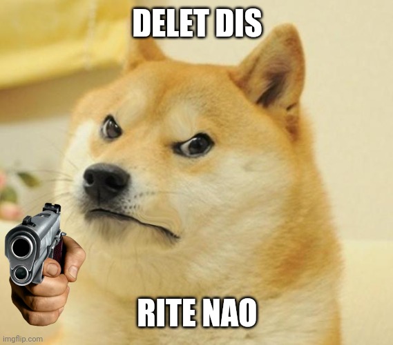 Mad doge | DELET DIS RITE NAO | image tagged in mad doge | made w/ Imgflip meme maker