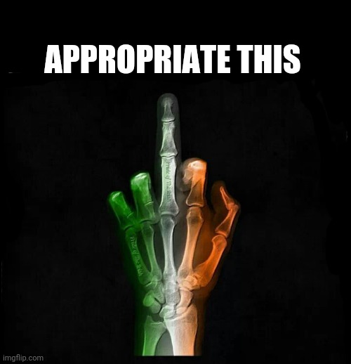 Kiss me ya heathens | APPROPRIATE THIS | image tagged in irish,st patrick's day,middle finger,cultural appropriation,kiss my ass | made w/ Imgflip meme maker