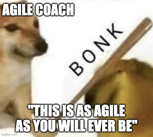 This is as agile as you will ever be | AGILE COACH; "THIS IS AS AGILE AS YOU WILL EVER BE" | image tagged in bonk,agile | made w/ Imgflip meme maker