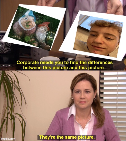 They're The Same Picture | image tagged in memes,they're the same picture | made w/ Imgflip meme maker