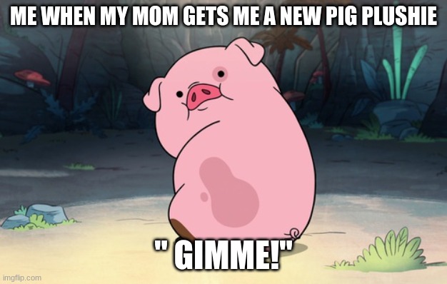 pig pig pig | ME WHEN MY MOM GETS ME A NEW PIG PLUSHIE; " GIMME!" | image tagged in gravity falls pig | made w/ Imgflip meme maker