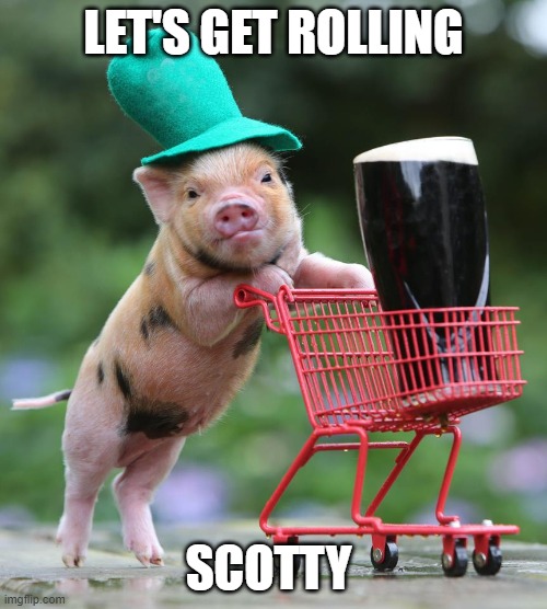 Scotty | LET'S GET ROLLING; SCOTTY | image tagged in st patrick's pig | made w/ Imgflip meme maker