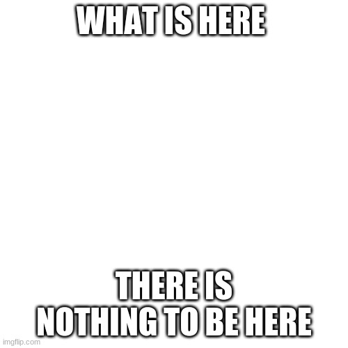 Blank Transparent Square Meme | WHAT IS HERE; THERE IS NOTHING TO BE HERE | image tagged in memes,blank transparent square | made w/ Imgflip meme maker