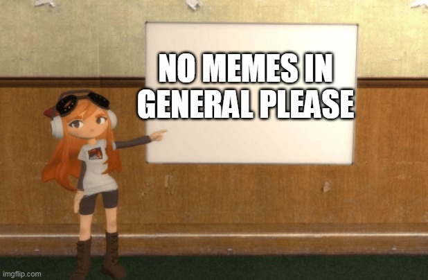 SMG4s Meggy pointing at board | NO MEMES IN GENERAL PLEASE | image tagged in smg4s meggy pointing at board | made w/ Imgflip meme maker