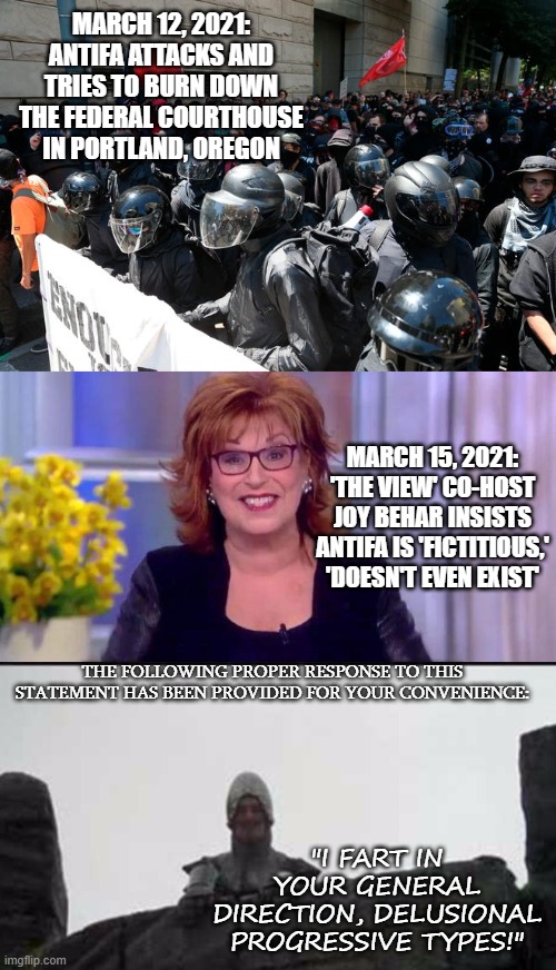 A Proper Response | THE FOLLOWING PROPER RESPONSE TO THIS STATEMENT HAS BEEN PROVIDED FOR YOUR CONVENIENCE:; "I FART IN YOUR GENERAL DIRECTION, DELUSIONAL PROGRESSIVE TYPES!" | image tagged in joy behar,antifa | made w/ Imgflip meme maker