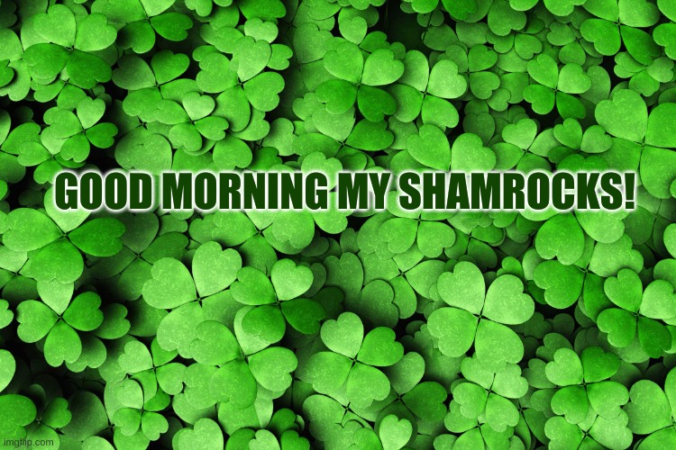 Good Morning! | GOOD MORNING MY SHAMROCKS! | image tagged in st patricks day | made w/ Imgflip meme maker