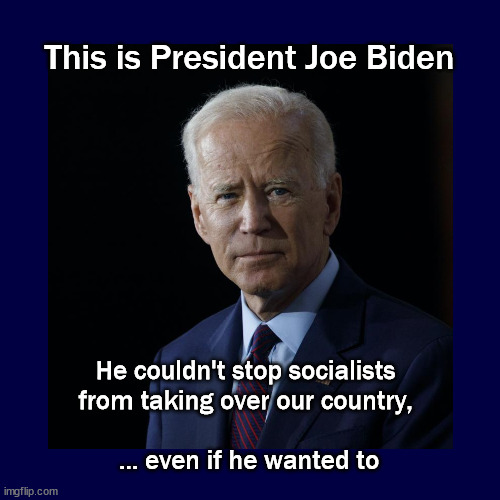 This is President Joe Biden | This is President Joe Biden; He couldn't stop socialists 
from taking over our country, 
 
... even if he wanted to | image tagged in politics | made w/ Imgflip meme maker