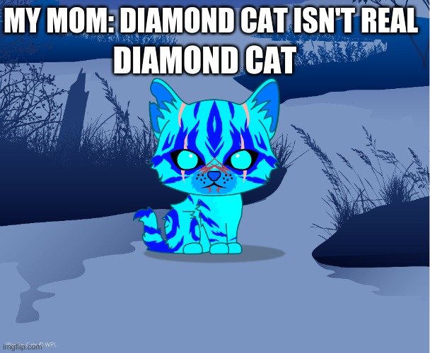 IT'S REAL!!!!!!!!! |  MY MOM: DIAMOND CAT ISN'T REAL; DIAMOND CAT | image tagged in funny | made w/ Imgflip meme maker