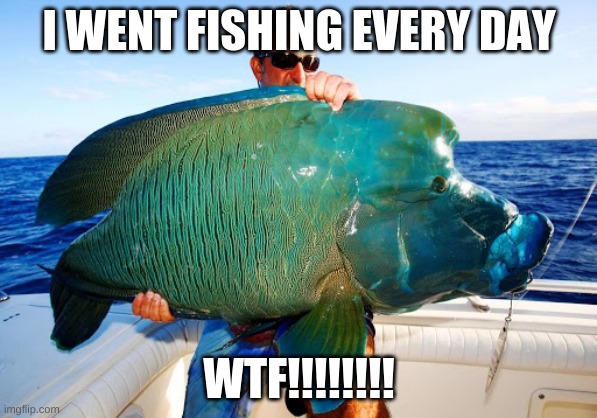 fishing |  I WENT FISHING EVERY DAY; WTF!!!!!!!! | image tagged in fishing | made w/ Imgflip meme maker