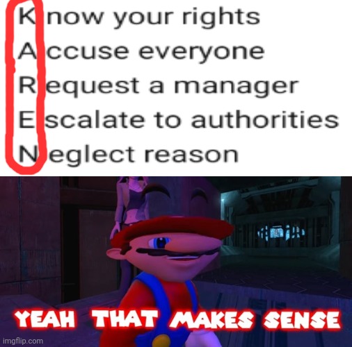 It all makes sense now... | image tagged in mario that make sense,karen,memes | made w/ Imgflip meme maker