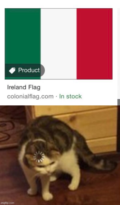 Ah yes... the Irish flag | image tagged in loading cat,memes,unfunny,you had one job | made w/ Imgflip meme maker