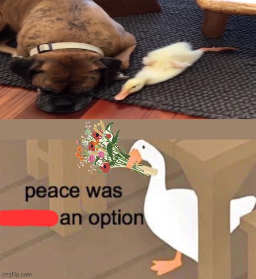 Peace was an option | image tagged in untitled goose peace was never an option,cute,memes | made w/ Imgflip meme maker