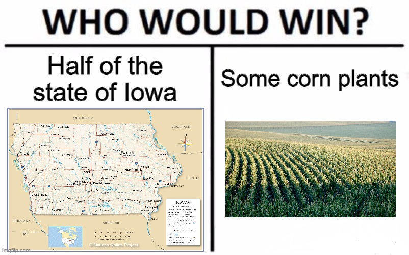 Fun fact: Iowa is half corn plants, and half civilization. | Half of the state of Iowa; Some corn plants | image tagged in memes,who would win,corn,iowa,funny memes,tag | made w/ Imgflip meme maker