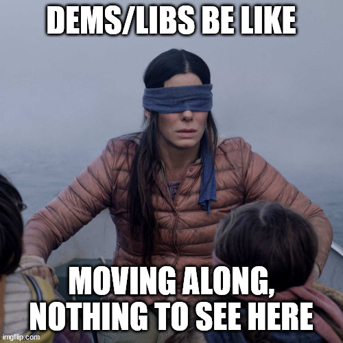 Bird Box Meme | DEMS/LIBS BE LIKE MOVING ALONG, NOTHING TO SEE HERE | image tagged in memes,bird box | made w/ Imgflip meme maker