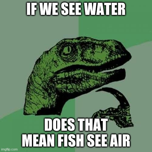 Ayre and Whater | IF WE SEE WATER; DOES THAT MEAN FISH SEE AIR | image tagged in memes,philosoraptor | made w/ Imgflip meme maker