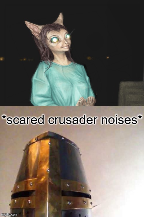 BY THE POPE WHAT IS THAT!? | *scared crusader noises* | image tagged in crusader,fear,cat | made w/ Imgflip meme maker