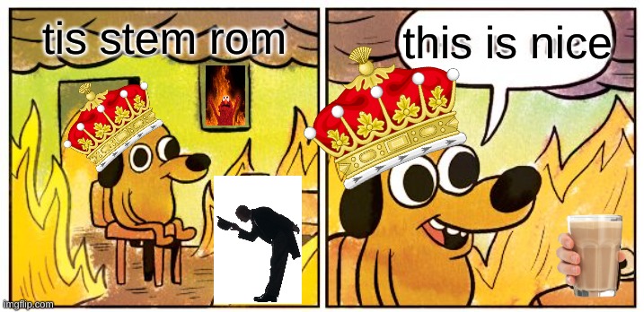 This Is Fine | this is nice; tis stem rom | image tagged in memes,this is fine | made w/ Imgflip meme maker
