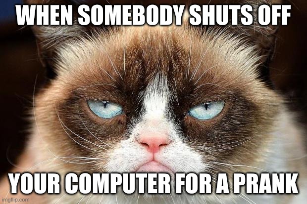 Grumpy Cat Not Amused Meme | WHEN SOMEBODY SHUTS OFF; YOUR COMPUTER FOR A PRANK | image tagged in memes,grumpy cat not amused,grumpy cat | made w/ Imgflip meme maker