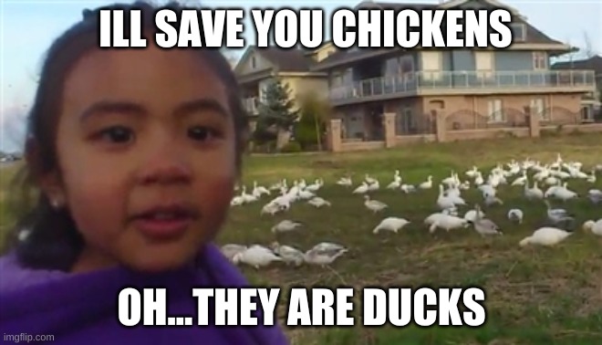 food inc meme | ILL SAVE YOU CHICKENS; OH...THEY ARE DUCKS | image tagged in look at all those chickens | made w/ Imgflip meme maker