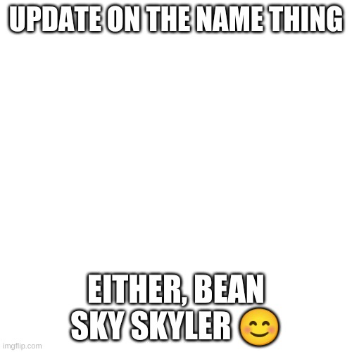 had a hard time deciding but please adress me as those names | UPDATE ON THE NAME THING; EITHER, BEAN SKY SKYLER 😊 | image tagged in memes,blank transparent square | made w/ Imgflip meme maker