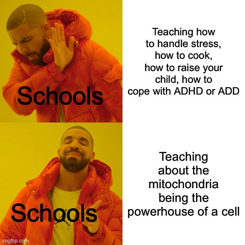 What is school for? | Teaching how to handle stress, how to cook, how to raise your child, how to cope with ADHD or ADD; Schools; Teaching about the mitochondria being the powerhouse of a cell; Schools | image tagged in memes,drake hotline bling,school,unhelpful high school teacher,unhelpful teacher | made w/ Imgflip meme maker