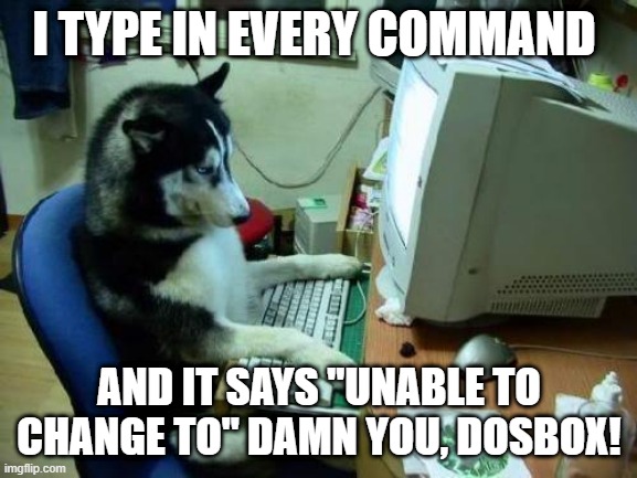 Dosbox is hard to use | I TYPE IN EVERY COMMAND; AND IT SAYS "UNABLE TO CHANGE TO" DAMN YOU, DOSBOX! | image tagged in dog on computer,computer games,microsoft,windows 95 | made w/ Imgflip meme maker