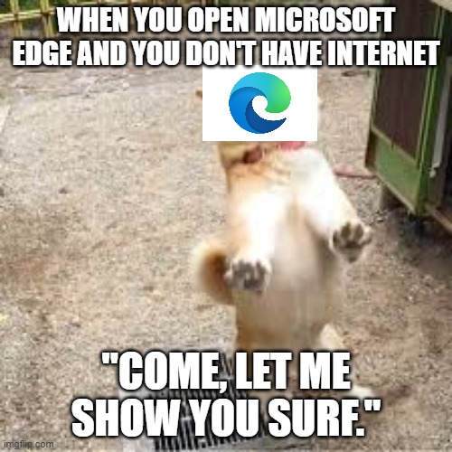 Come, let me show you surf. | WHEN YOU OPEN MICROSOFT EDGE AND YOU DON'T HAVE INTERNET; "COME, LET ME SHOW YOU SURF." | image tagged in meme,dog | made w/ Imgflip meme maker