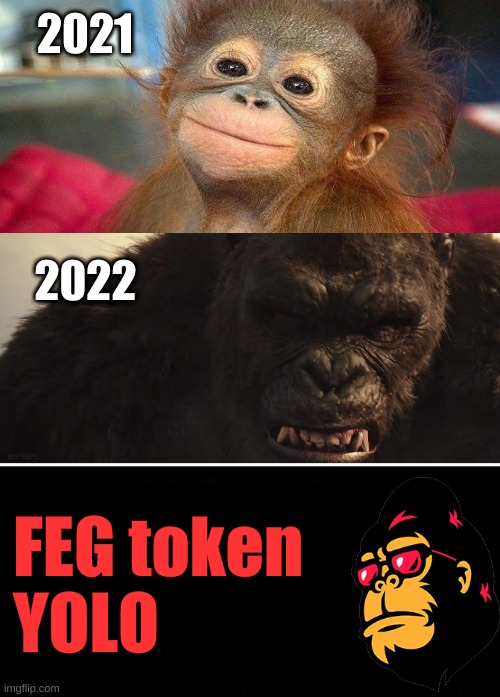FOMO $FEG Token ? | 2021; 2022; FEG token
YOLO | image tagged in fomo,yolo,feg,memes,crypto,bitcoin | made w/ Imgflip meme maker